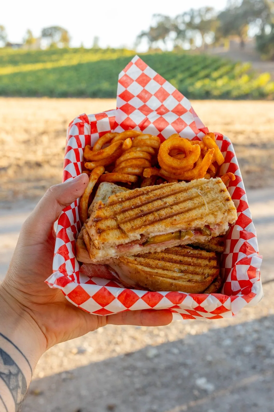 The Autostrada hot-pressed sandwich with curly fries in a red-checkered basket, held up in front of the vineyard at Peachy Canyon Winery
