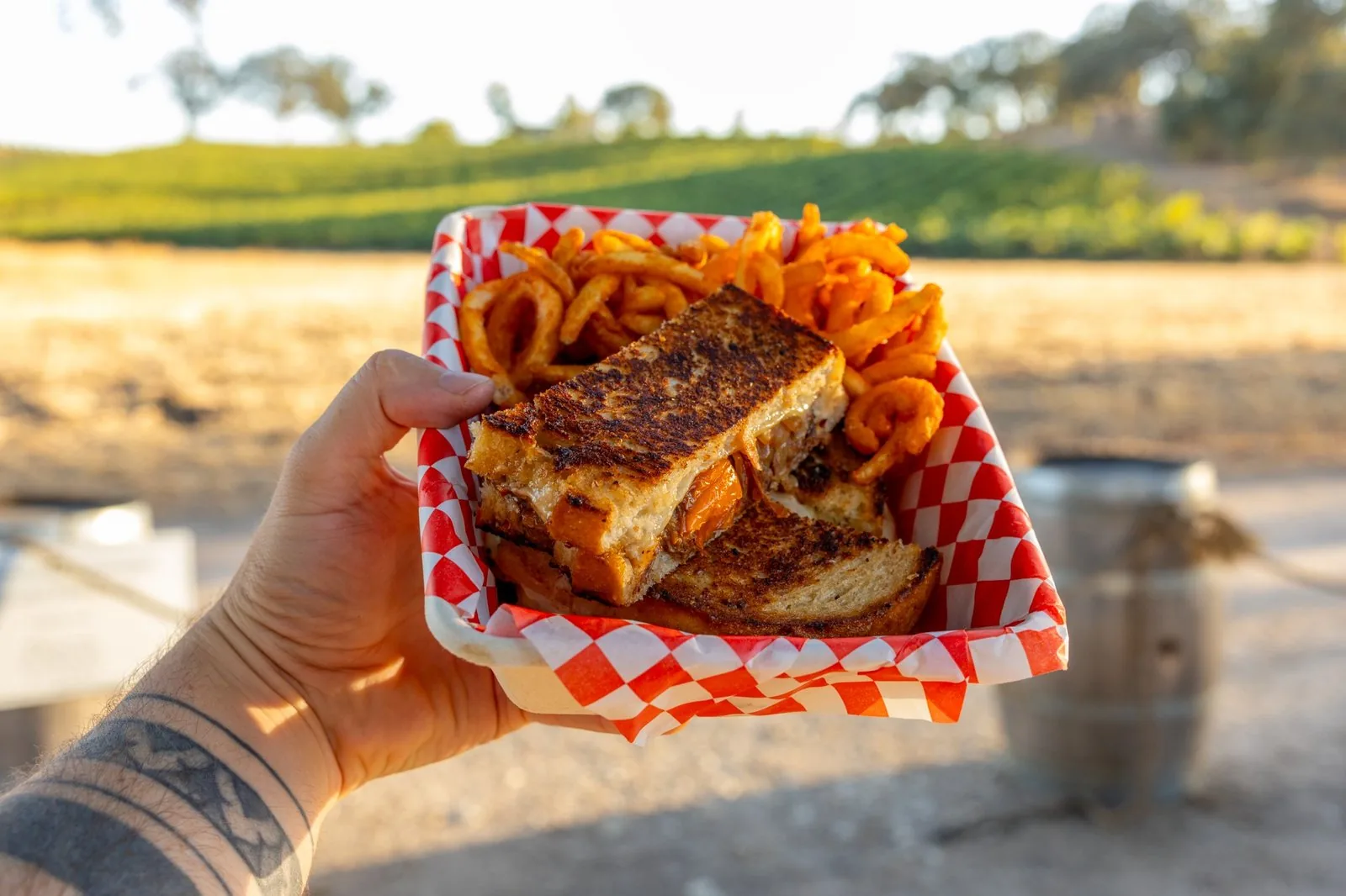 A hot-pressed sandwich and curly fries held up against the Peachy Canyon vineyard